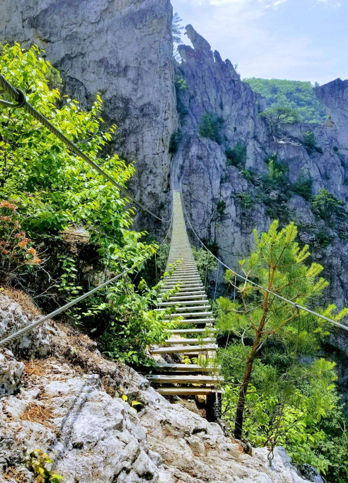 A wooden foot bridge connects between two mountains with green trees in between.